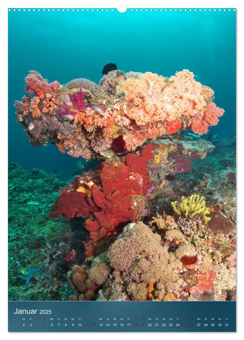 Farbenfrohe Unterwasserwelt (CALVENDO Wandkalender 2025)