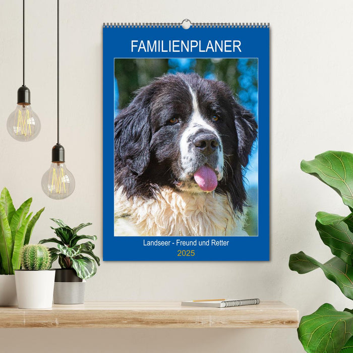 Familienplaner Landseer - Freund und Retter (CALVENDO Wandkalender 2025)