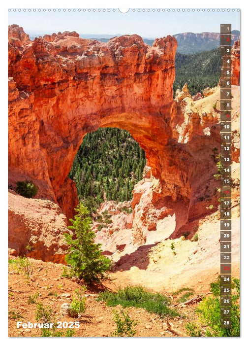 BRYCE CANYON Natur Pur (CALVENDO Premium Wandkalender 2025)