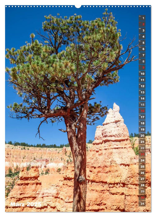 BRYCE CANYON Natur Pur (CALVENDO Premium Wandkalender 2025)