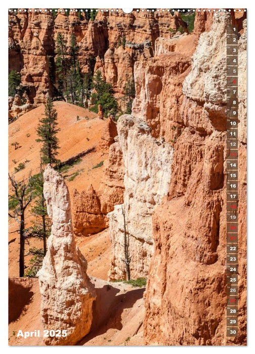 BRYCE CANYON Natur Pur (CALVENDO Premium Wandkalender 2025)