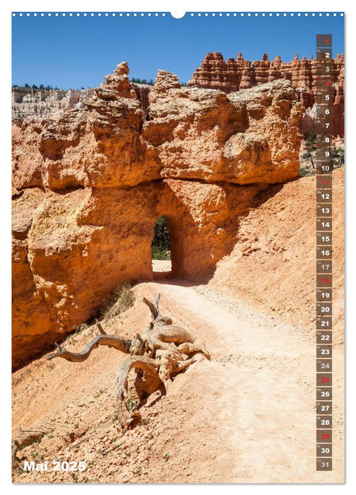 BRYCE CANYON Natur Pur (CALVENDO Premium Wandkalender 2025)