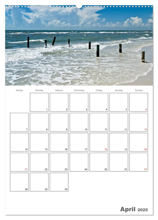 Sommer, Sonne, Freizeit / Terminplaner (CALVENDO Premium Wandkalender 2025)