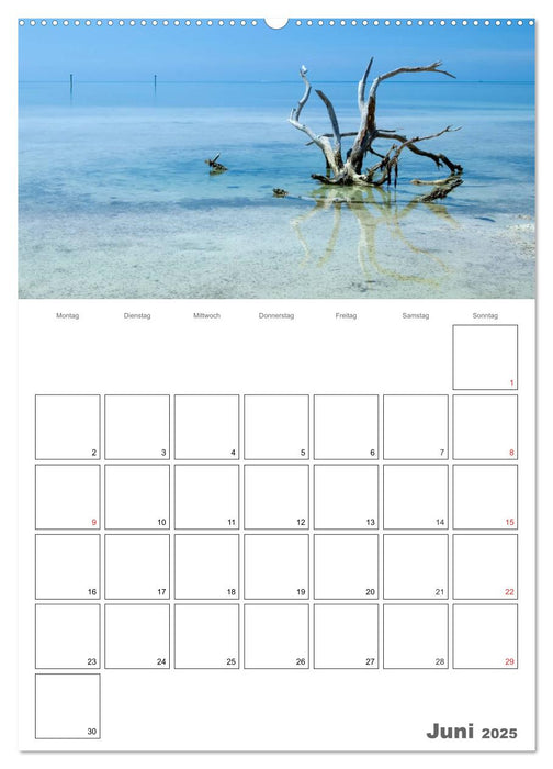 Sommer, Sonne, Freizeit / Terminplaner (CALVENDO Premium Wandkalender 2025)