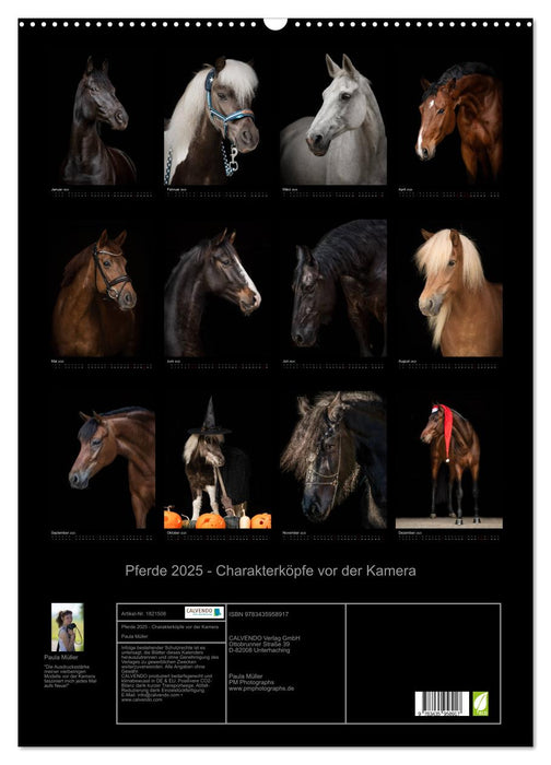 Pferde 2025 - Charakterköpfe vor der Kamera (CALVENDO Wandkalender 2025)