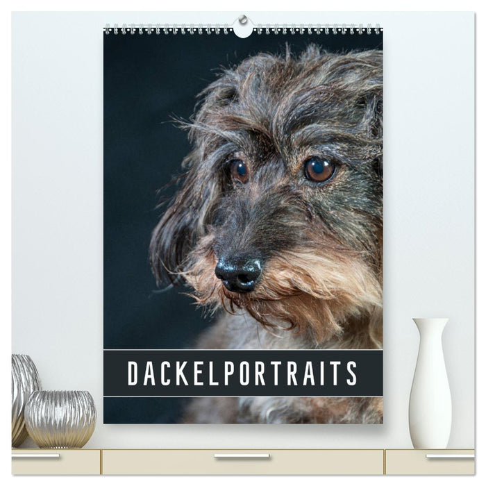 Dackelportraits (CALVENDO Premium Wandkalender 2025)