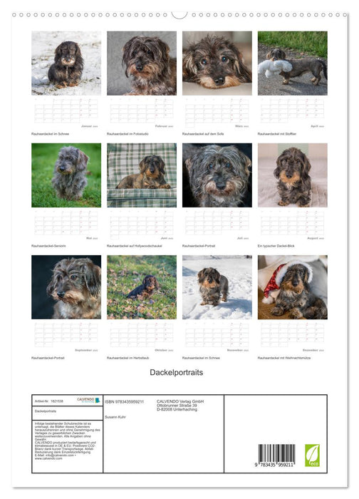 Dackelportraits (CALVENDO Premium Wandkalender 2025)