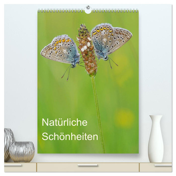 Insekten,Schönheiten der Natur (CALVENDO Premium Wandkalender 2025)