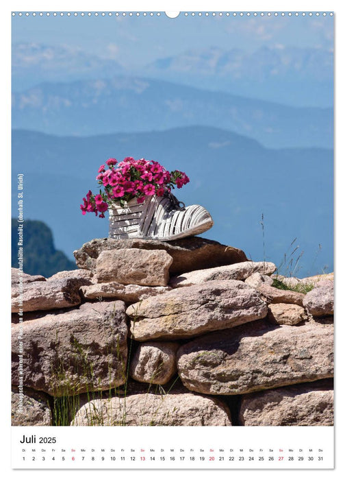 Hoch oben in den Dolomiten (CALVENDO Premium Wandkalender 2025)