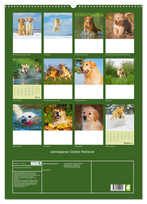Jahresplaner Golden Retriever (CALVENDO Wandkalender 2025)