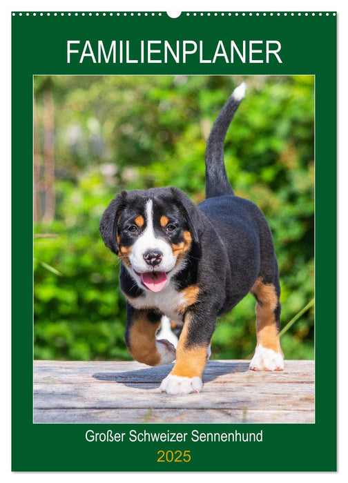 Familienplaner Großer Schweizer Sennenhund (CALVENDO Wandkalender 2025)