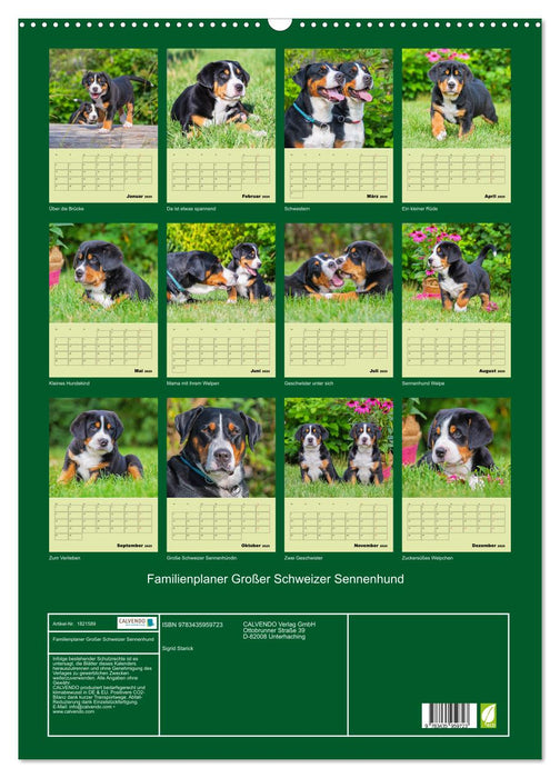 Familienplaner Großer Schweizer Sennenhund (CALVENDO Wandkalender 2025)