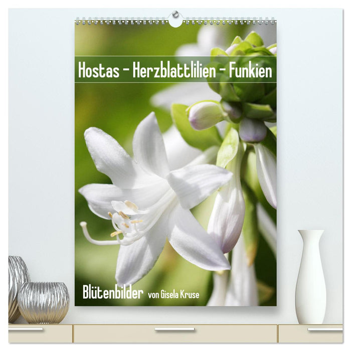 Hostas Herzblattlilien Funkien (CALVENDO Premium Wandkalender 2025)