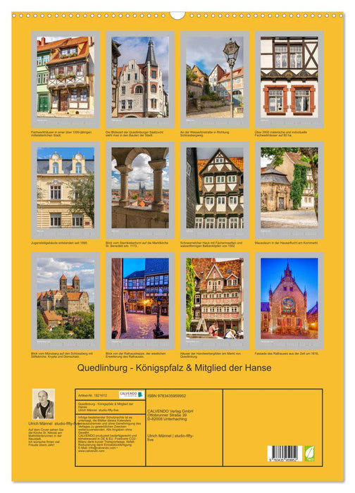 Quedlinburg - Königspfalz & Mitglied der Hanse (CALVENDO Wandkalender 2025)