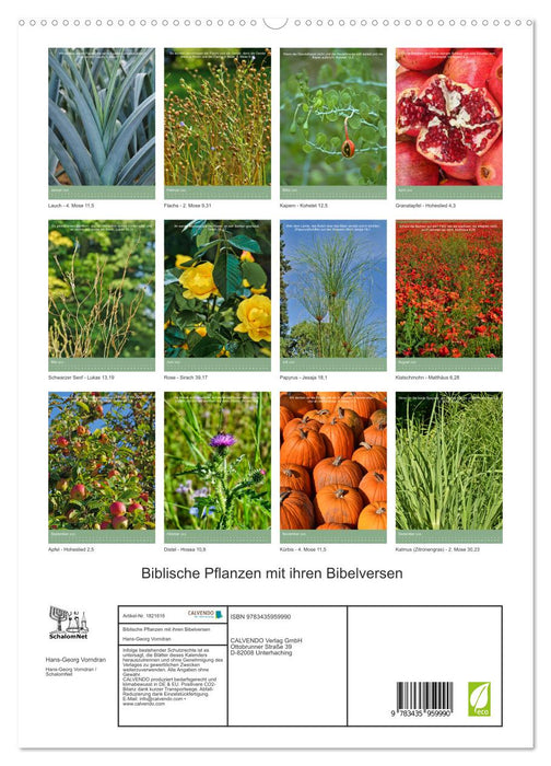 Biblische Pflanzen mit ihren Bibelversen (CALVENDO Premium Wandkalender 2025)