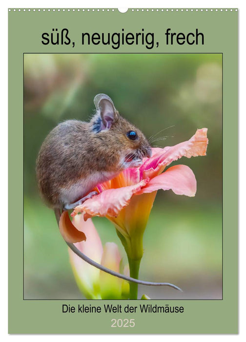 Die kleine Welt der Wildmäuse (CALVENDO Wandkalender 2025)