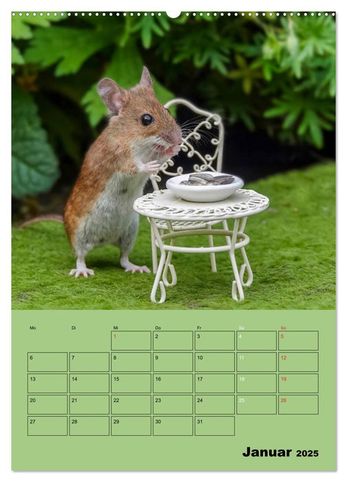 Die kleine Welt der Wildmäuse (CALVENDO Wandkalender 2025)