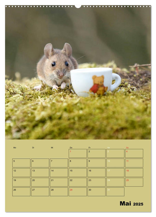 Die kleine Welt der Wildmäuse (CALVENDO Wandkalender 2025)