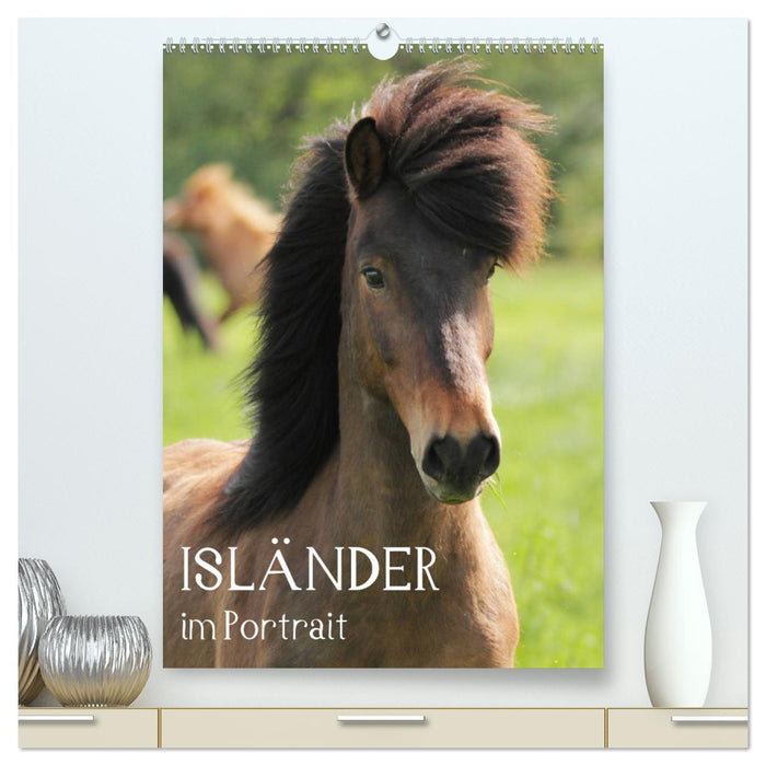 Isländer im Portrait (CALVENDO Premium Wandkalender 2025)
