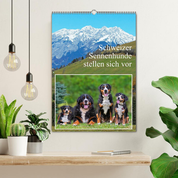 Schweizer Sennenhunde stellen sich vor (CALVENDO Wandkalender 2025)