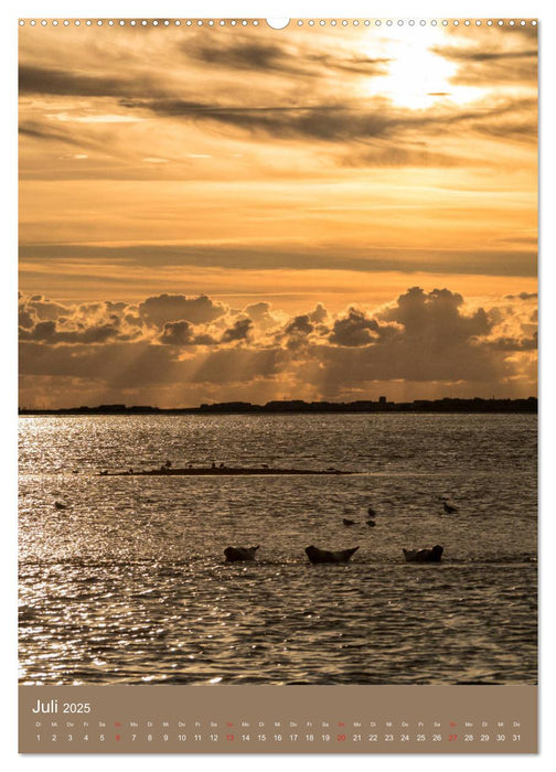 Ostfriesland - Westermarsch und Norden (CALVENDO Premium Wandkalender 2025)