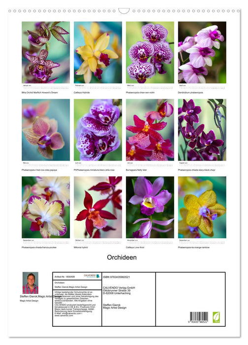 Orchideen (CALVENDO Wandkalender 2025)