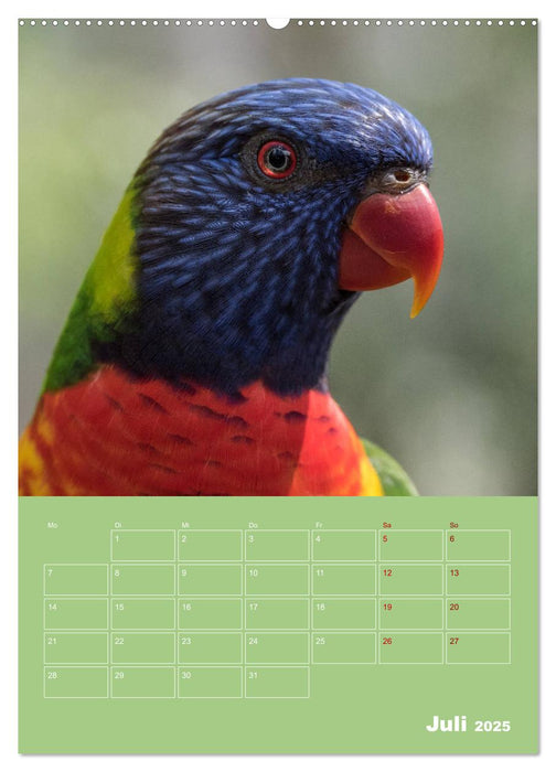 Die bunte Vielfalt der Papageienvögel (CALVENDO Premium Wandkalender 2025)