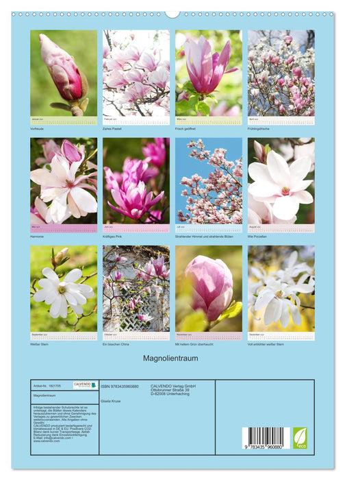 Magnolientraum (CALVENDO Premium Wandkalender 2025)