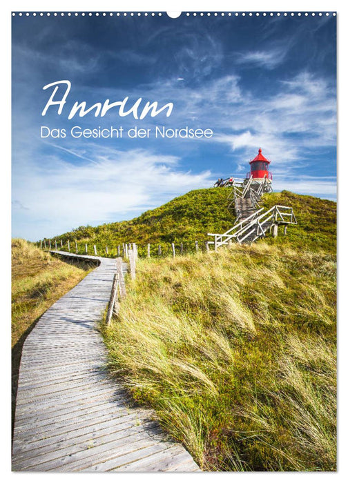 Amrum - Das Gesicht der Nordsee (CALVENDO Wandkalender 2025)