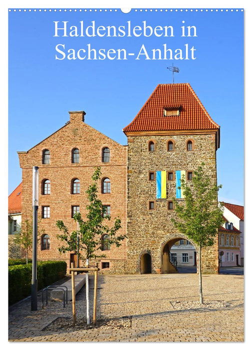 Haldensleben in Sachsen-Anhalt (CALVENDO Wandkalender 2025)