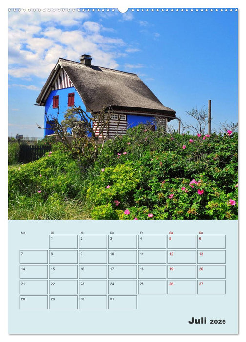 Moin Heiligenhafen (CALVENDO Premium Wandkalender 2025)