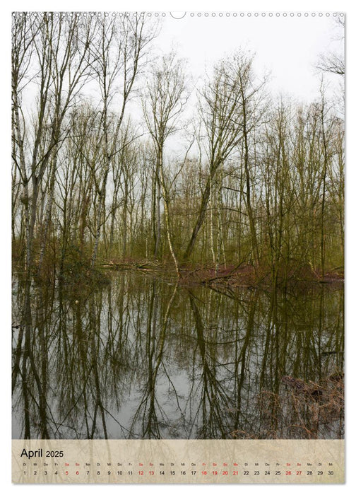 Faszination Hochwasser - Urdenbacher Kämpe (CALVENDO Premium Wandkalender 2025)