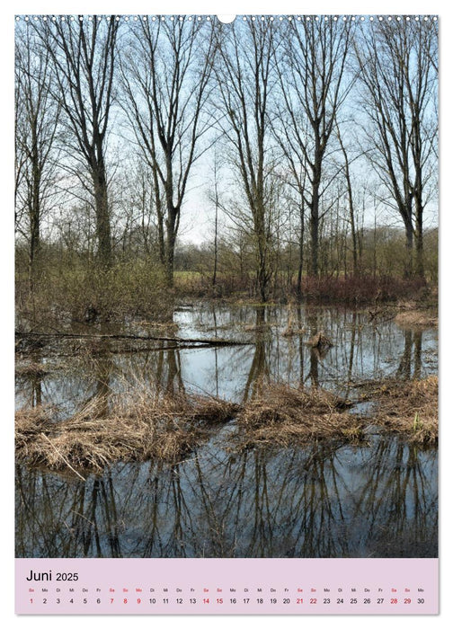 Faszination Hochwasser - Urdenbacher Kämpe (CALVENDO Premium Wandkalender 2025)