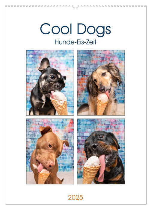 Cool Dogs - Hunde-Eis-Zeit (CALVENDO Wandkalender 2025)