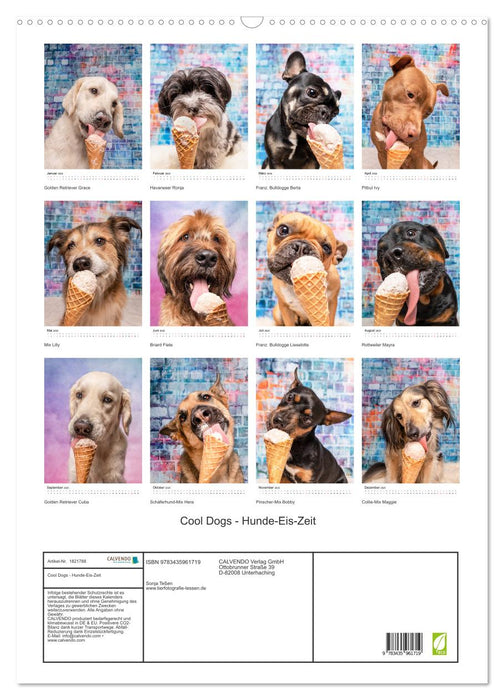 Cool Dogs - Hunde-Eis-Zeit (CALVENDO Wandkalender 2025)