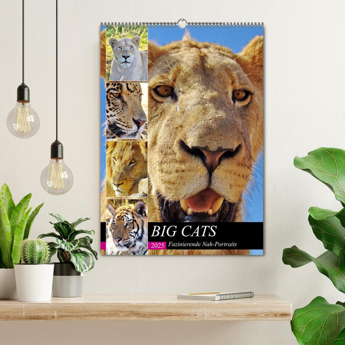 BIG CATS Fazinierende Nah-Portraits (CALVENDO Wandkalender 2025)