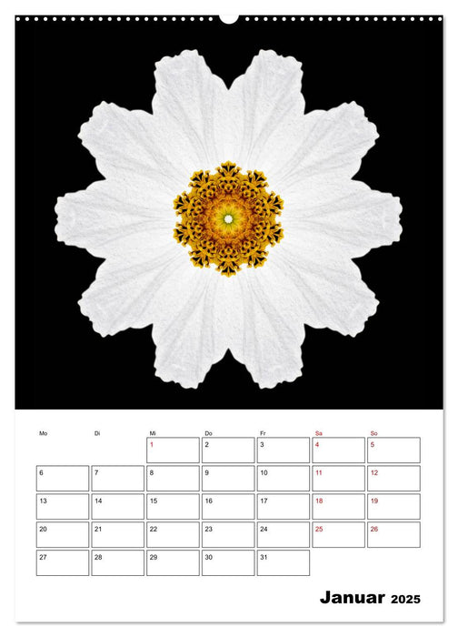 Blumenkunst - mandala-art (CALVENDO Premium Wandkalender 2025)