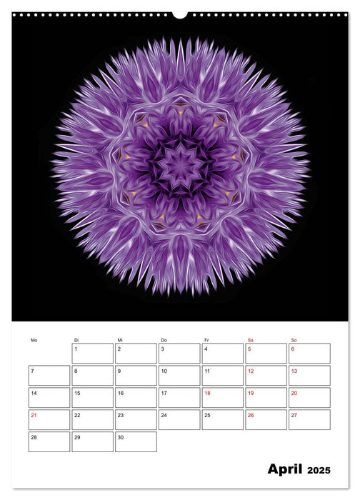 Blumenkunst - mandala-art (CALVENDO Premium Wandkalender 2025)