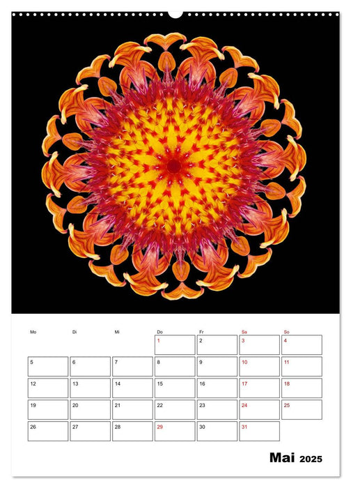 Blumenkunst - mandala-art (CALVENDO Premium Wandkalender 2025)