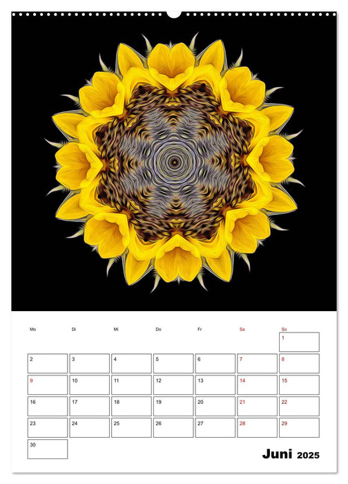 Blumenkunst - mandala-art (CALVENDO Premium Wandkalender 2025)