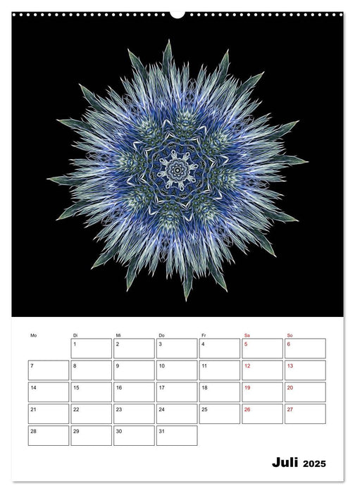 Blumenkunst - mandala-art (CALVENDO Premium Wandkalender 2025)