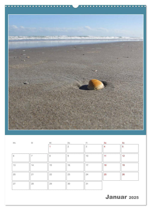 Pur maritim (CALVENDO Premium Wandkalender 2025)