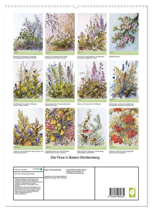 Die Flora in Baden-Württemberg (CALVENDO Premium Wandkalender 2025)