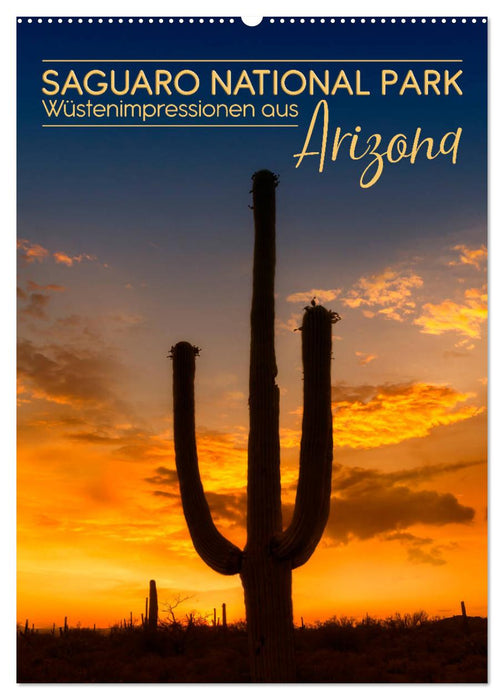 SAGUARO NATIONAL PARK Wüstenimpressionen aus Arizona (CALVENDO Wandkalender 2025)