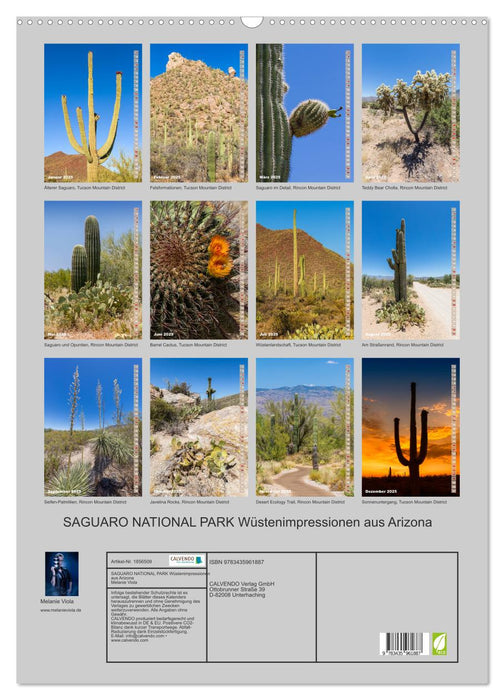 SAGUARO NATIONAL PARK Wüstenimpressionen aus Arizona (CALVENDO Wandkalender 2025)