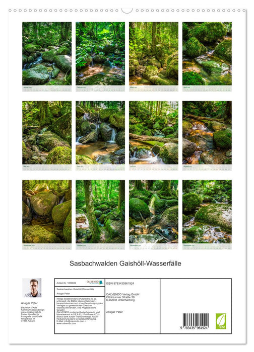 Sasbachwalden Gaishöll-Wasserfälle (CALVENDO Premium Wandkalender 2025)