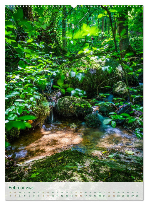 Sasbachwalden Gaishöll-Wasserfälle (CALVENDO Premium Wandkalender 2025)