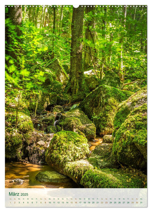 Sasbachwalden Gaishöll-Wasserfälle (CALVENDO Premium Wandkalender 2025)