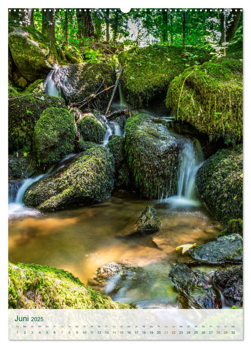 Sasbachwalden Gaishöll-Wasserfälle (CALVENDO Premium Wandkalender 2025)