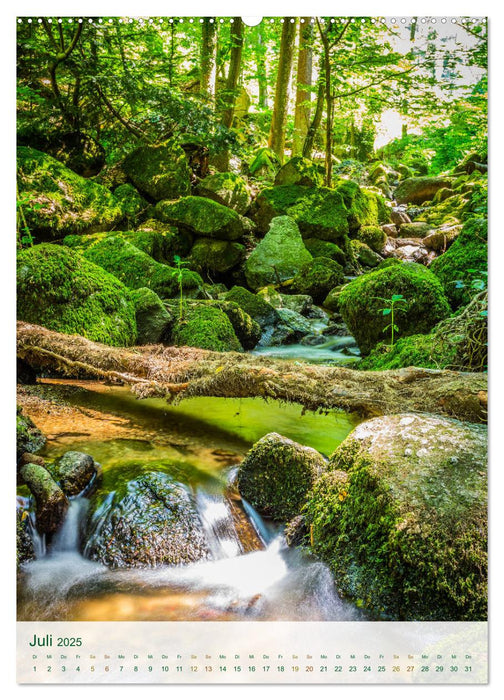 Sasbachwalden Gaishöll-Wasserfälle (CALVENDO Premium Wandkalender 2025)